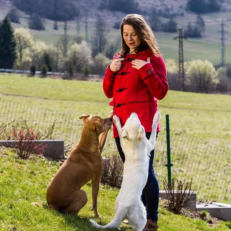 Dog Training Clickers Pet Clicker for Dog Training Interactive Training Tools for Cat Dog Horse to Train Stop Barking Sitting